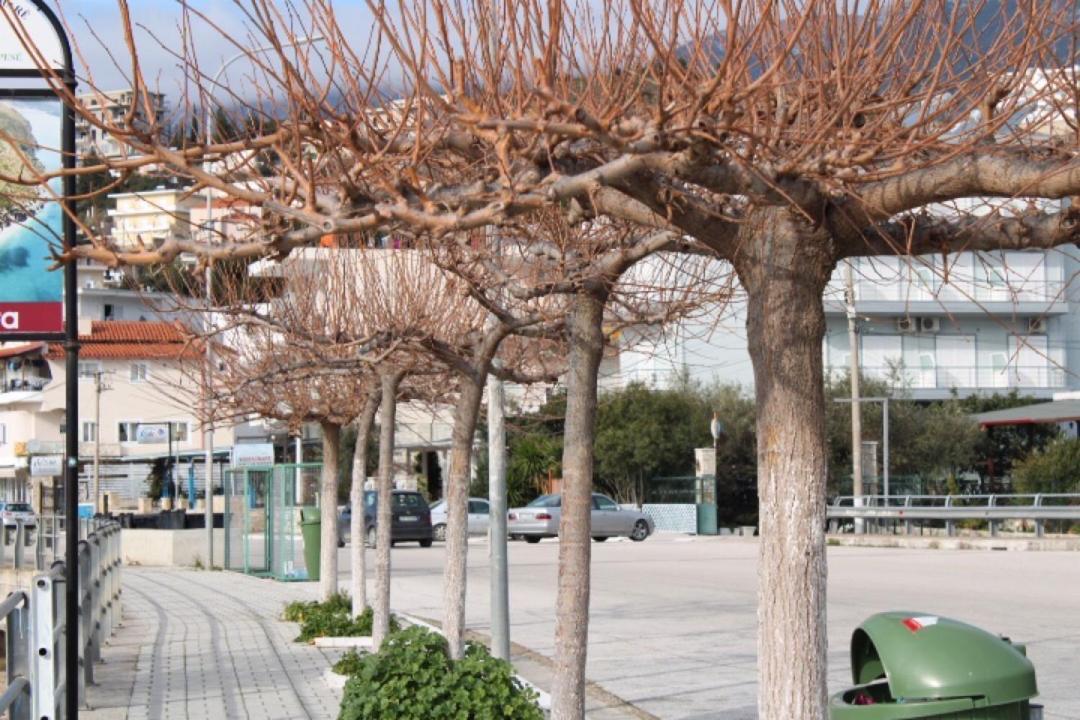 Hotel Portokali Himarë Dış mekan fotoğraf
