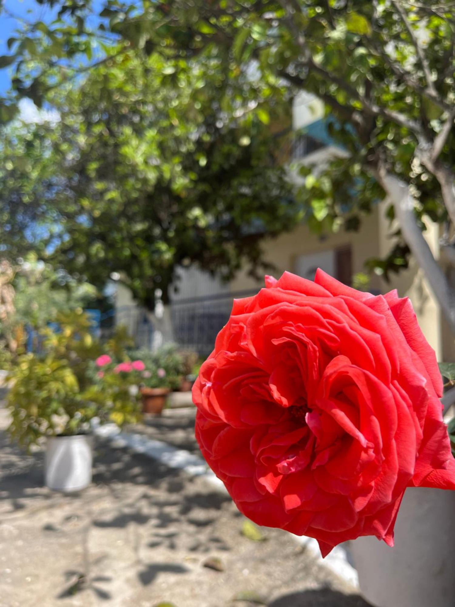 Hotel Portokali Himarë Dış mekan fotoğraf